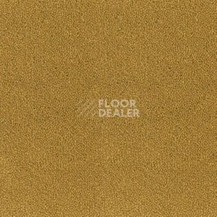 Ковролин Desso Asteranne 6112 фото 1 | FLOORDEALER