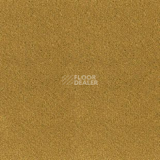 Ковролин Desso Asteranne 6112 фото 1 | FLOORDEALER