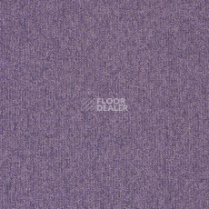 Ковролин Balta ITC Master 85 фото 1 | FLOORDEALER