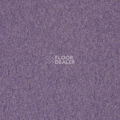 Ковролин Balta ITC Master 85 фото 1 | FLOORDEALER