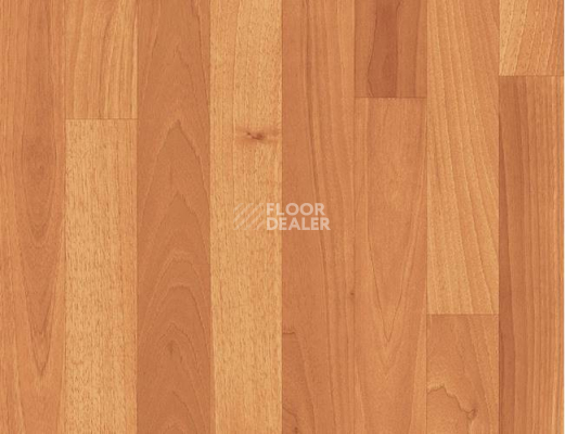 Линолеум Grabo Terrana 22 4231-251-4 фото 1 | FLOORDEALER