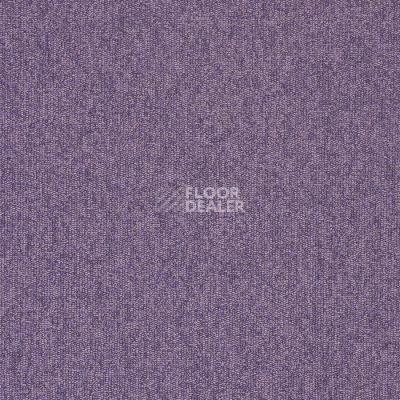 Ковролин Balta ITC Master 85 фото 1 | FLOORDEALER