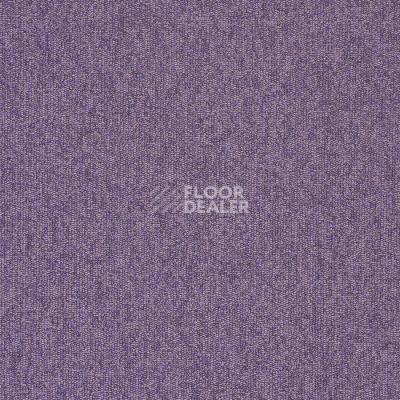 Ковролин Balta ITC Master 85 фото 1 | FLOORDEALER