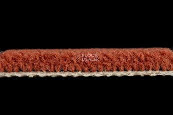 Balsan Les Best 565 фото 3 | FLOORDEALER