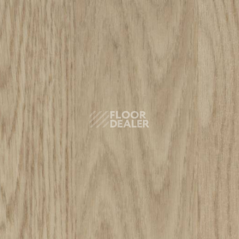 Кварцвиниловые полы Forbo Allura Click Decibel 60064 фото 1 | FLOORDEALER