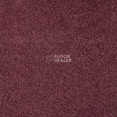 Ковролин Lano Serenity Ser 0100 фото 1 | FLOORDEALER