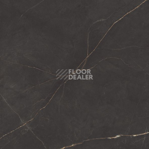 Nolana ( Нолана ) 60 x 60 x10 NL04 фото 11 | FLOORDEALER