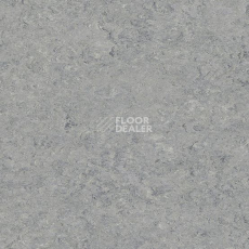 Линолеум Marmorette DLW 2.5mm 0053 Ice Grey фото 1 | FLOORDEALER