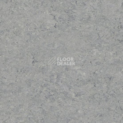 Линолеум Marmorette DLW 2.5mm 0053 Ice Grey фото 1 | FLOORDEALER