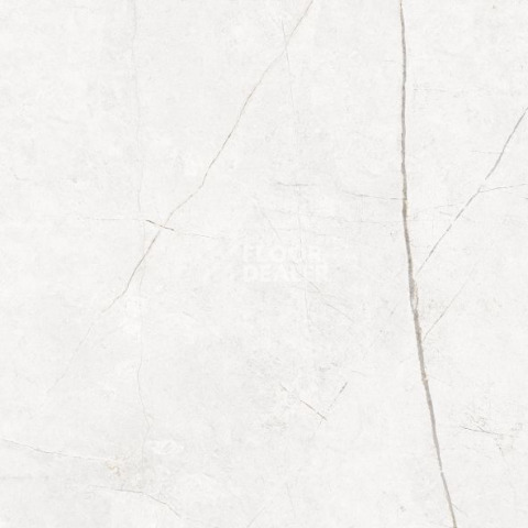 Nolana ( Нолана ) 60 x 60 x10 NL00 фото 3 | FLOORDEALER