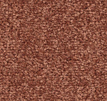 Ковролин Balsan First Class 460 фото 1 | FLOORDEALER