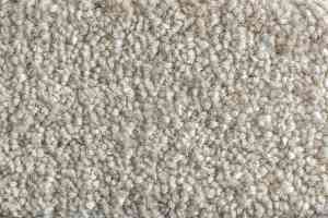 Ковролин AW Satisfaction 36 фото  | FLOORDEALER