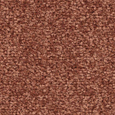 Ковролин Balsan First Class 460 фото 1 | FLOORDEALER