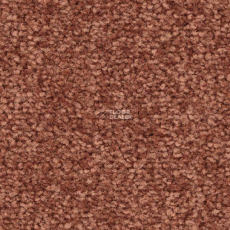 Balsan First Class 460 фото 1 | FLOORDEALER