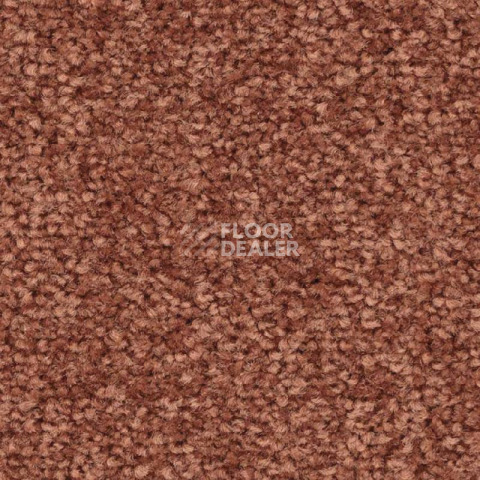 Ковролин Balsan First Class 460 фото 1 | FLOORDEALER