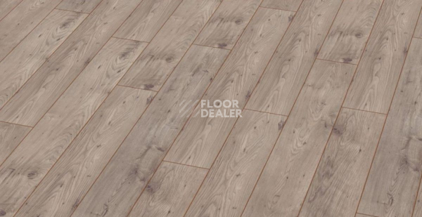 My Floor Chalet 10мм m1002 Каштан Бежевый фото 10 | FLOORDEALER