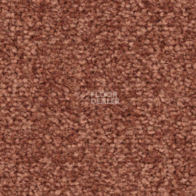 Ковролин Balsan First Class 460 фото 1 | FLOORDEALER