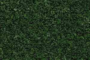 Грязезащитные покрытия Forbo Coral Brush 5708 Avocado Green фото  | FLOORDEALER