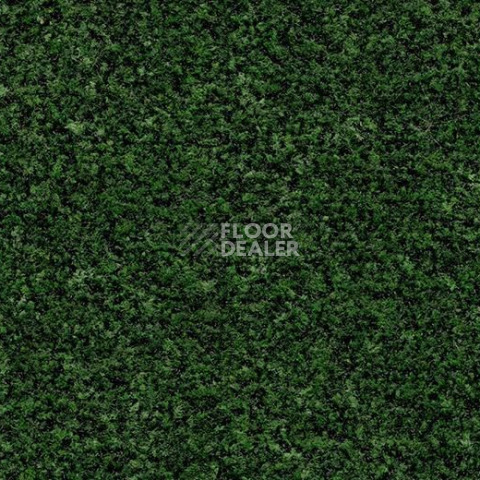 Грязезащитные покрытия Forbo Coral Brush 5708 Avocado Green фото 1 | FLOORDEALER