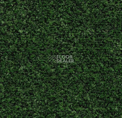 Грязезащитные покрытия Forbo Coral Brush 5708 Avocado Green фото 1 | FLOORDEALER