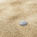 Ковролин Vorwerk Superior 1067 Mira Vorwerk 8k09  | FLOORDEALER