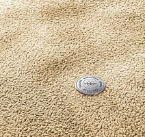 Ковролин Vorwerk Superior 1067 Mira Vorwerk 8k09 фото 1 | FLOORDEALER