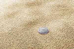 Ковролин Vorwerk Superior 1067 Mira Vorwerk 8k09 фото  | FLOORDEALER