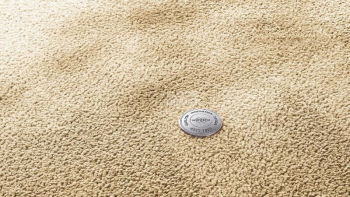 Ковролин Vorwerk Superior 1067 Mira Vorwerk 8k09 фото 1 | FLOORDEALER