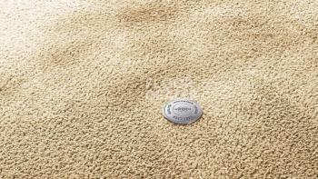 Ковролин Vorwerk Superior 1067 Mira Vorwerk 8k09 фото 1 | FLOORDEALER
