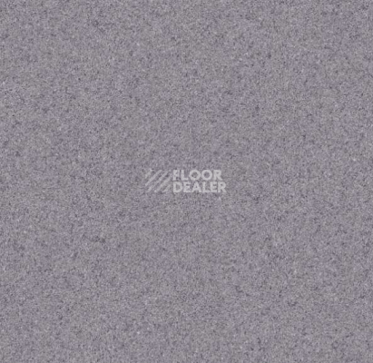 Линолеум Grabo Terrana Top Extra 4564-299 фото 1 | FLOORDEALER
