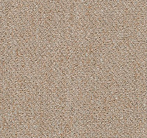 Ковровая плитка Shaw Momentum 02505 фото 1 | FLOORDEALER