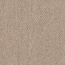 Ковровая плитка Shaw Momentum 02505 фото 1 | FLOORDEALER