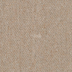 Shaw Momentum 02505 фото 1 | FLOORDEALER