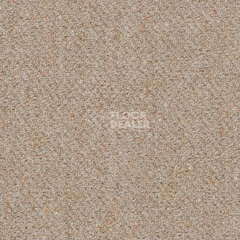 Ковровая плитка Shaw Momentum 02505 фото 1 | FLOORDEALER