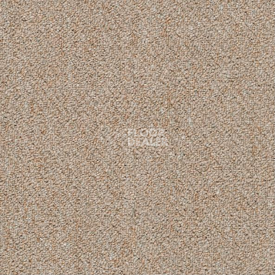 Ковровая плитка Shaw Momentum 02505 фото 1 | FLOORDEALER