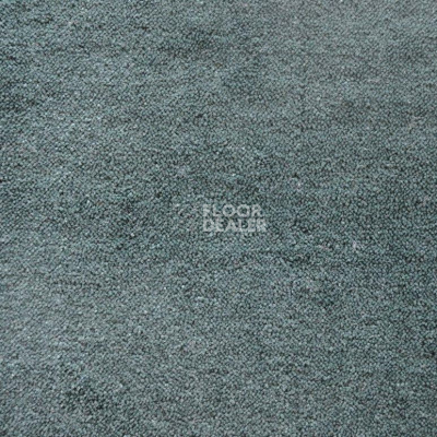 Ковролин Дюна Тафт Плеяда 550 968 фото 1 | FLOORDEALER