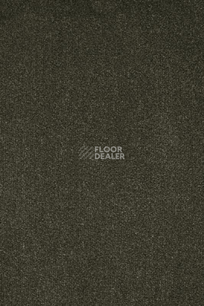 Ковролин AW Masquerade Moretta 29 фото 1 | FLOORDEALER