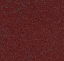 Линолеум Forbo Marmoleum Неожиданная природа 3562 фото 1 | FLOORDEALER