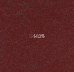 Линолеум Forbo Marmoleum Неожиданная природа 3562 фото 1 | FLOORDEALER