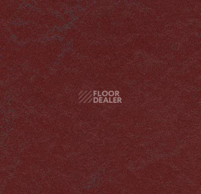 Линолеум Forbo Marmoleum Неожиданная природа 3562 фото 1 | FLOORDEALER