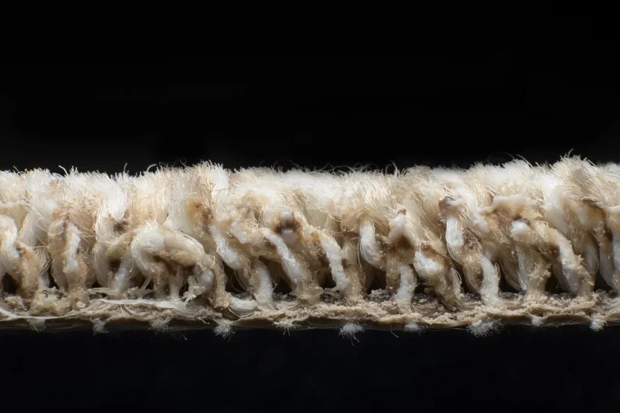 AW Stainguard Harvest 04 фото 5 | FLOORDEALER