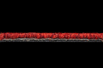 Season - Summer / Winter 570 фото 3 | FLOORDEALER