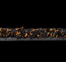 Forbo Coral Luxe 2916 Garnet фото 3 | FLOORDEALER