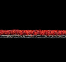 Season - Summer / Winter 570 фото 3 | FLOORDEALER