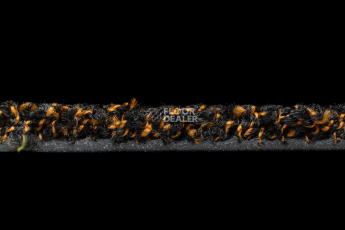 Forbo Coral Luxe 2916 Garnet фото 3 | FLOORDEALER