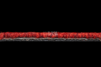 Season - Summer / Winter 570 фото 3 | FLOORDEALER