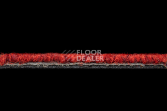 Balsan Season - Summer / Winter 570 фото 3 | FLOORDEALER