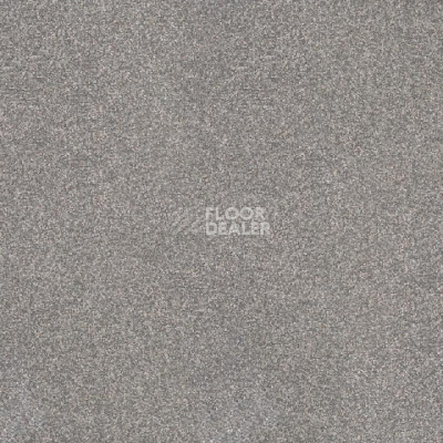 Линолеум Tarkett Pulsar Pulsar 404 фото 1 | FLOORDEALER