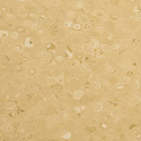 Линолеум Apoluza Tangyun 1021 фото 1 | FLOORDEALER