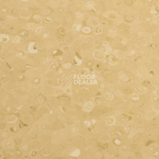 Линолеум Apoluza Tangyun 1021 фото 1 | FLOORDEALER